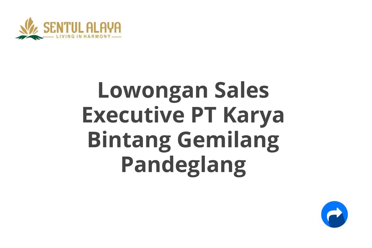 Lowongan Sales Executive PT Karya Bintang Gemilang Pandeglang